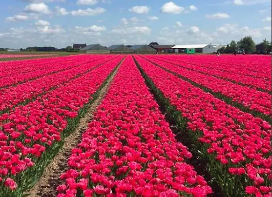 New: Summerhouse Near Beach&lake נורדוויקרהוט