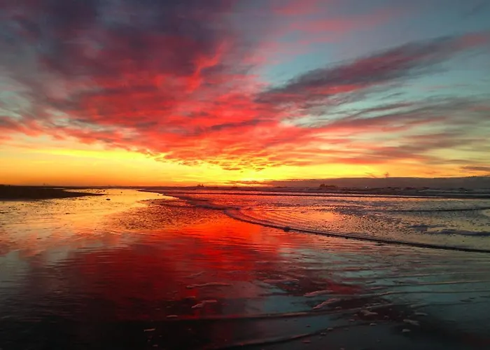 New: Summerhouse Near Beach&lake Tatil Evi